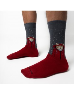 Calcetines Jimmy Lion Raining Cat 2