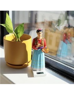 Frida Solar 2