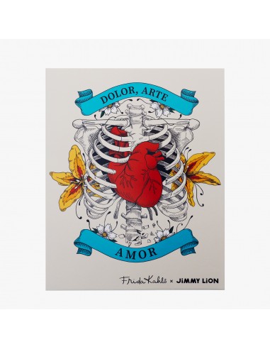 Calcetines  Jimmy Lion ATHLETIC FRIDA PACK