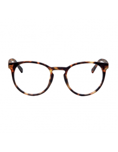 Gafas PAPILLON | Turtle