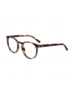 Gafas PAPILLON | Turtle 2
