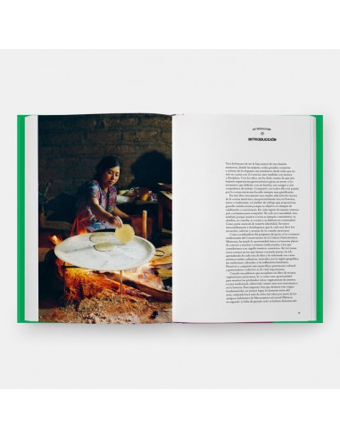 México Gastronomía Vegetariana