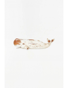 Cachalote blanco en resina envejecida L:40cm H:13cm