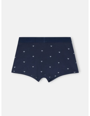 Boxer raquetas marino