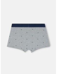 Boxer raqueta gris 2