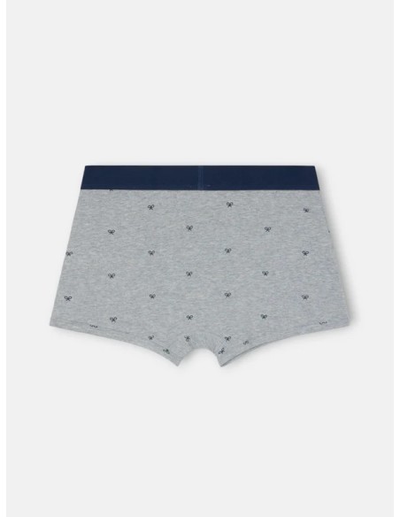 Boxer raqueta gris