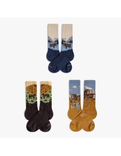 PACK ATHLETIC WILD PARKS 2