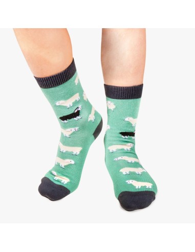 Calcetines Jimmy Lion BLACK SHEEP- KIDS