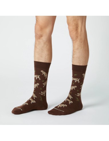 CALCETINES JIMMY LION LYNX