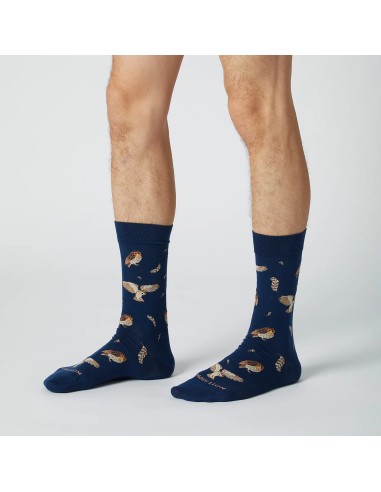CALCETINES JIMMY LION NIGHT OWL