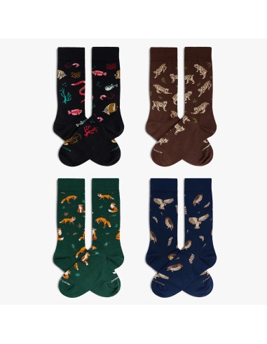 THE NIGHT COLLECTION PACK