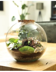 Ecosistema Moom M 28cm