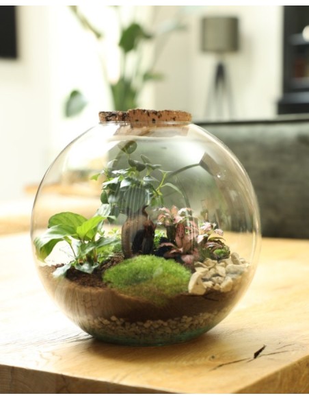 Ecosistema Moom M 28cm