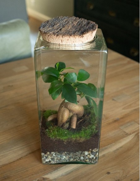 Ecosistema Eris 30cm