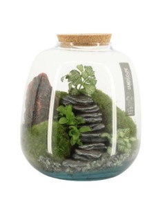 Ecosistema Paisaje M 23x25 cm