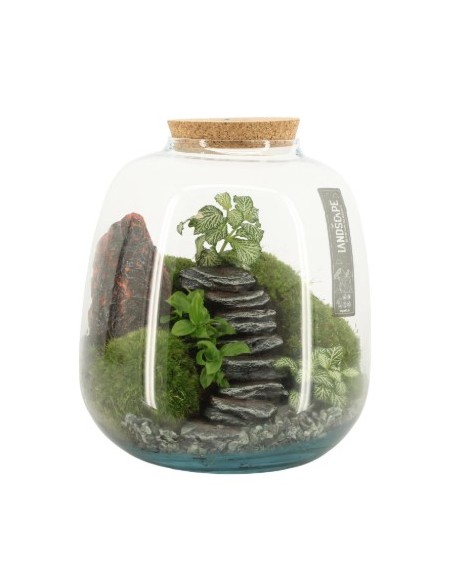 Ecosistema Paisaje M 23x25 cm