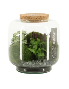 Ecosistema Paisaje S 17x17cm