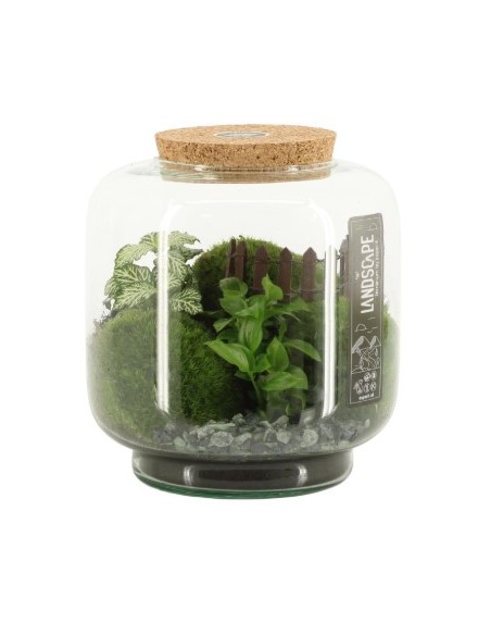 Ecosistema Paisaje S 17x17cm