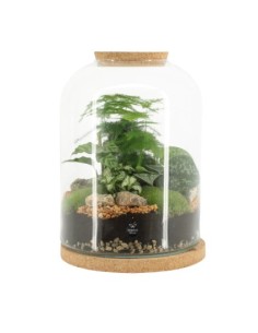 Ecosistema Diamond 90552