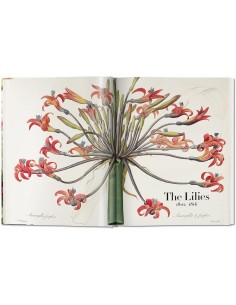 Redouté. El libro de las flores. XL 2