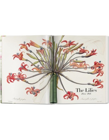 Redouté. El libro de las flores. XL