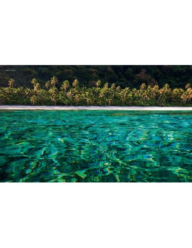 American National Parks