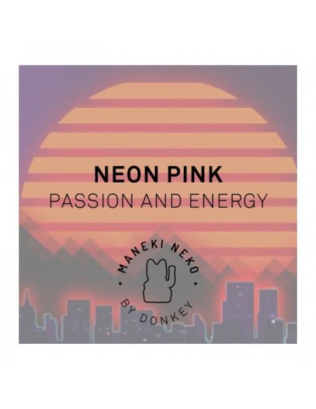 Lucky Cat Neon Orange