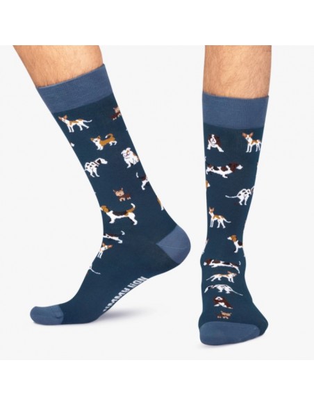 Calcetines Jimmy Lion DOGS